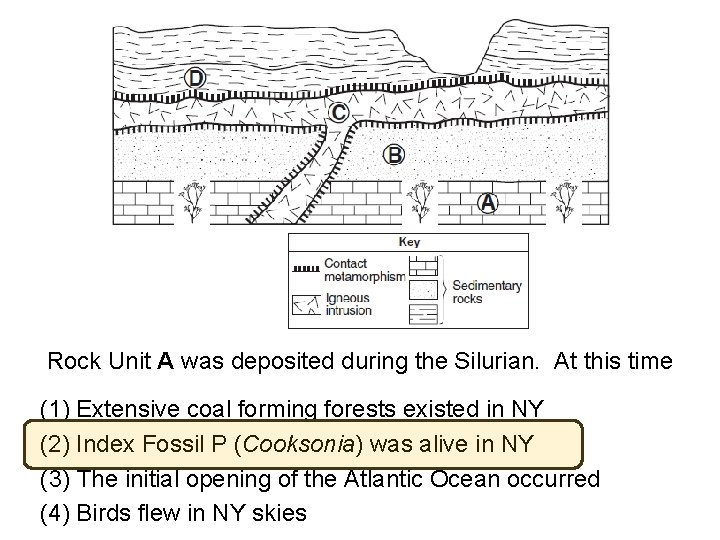 Rock Unit A was deposited during the Silurian. At this time (1) Extensive coal