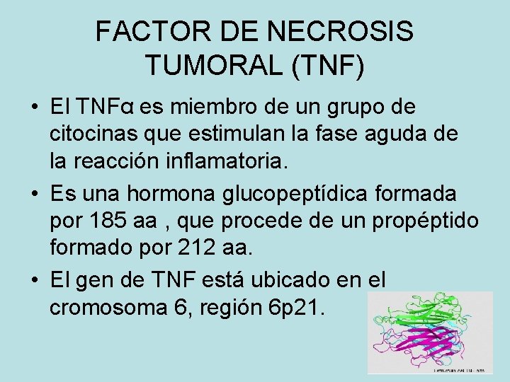 FACTOR DE NECROSIS TUMORAL (TNF) • El TNFα es miembro de un grupo de