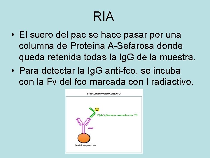 RIA • El suero del pac se hace pasar por una columna de Proteína