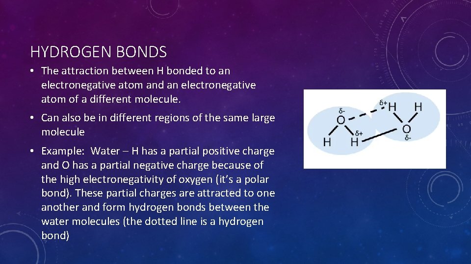 HYDROGEN BONDS • The attraction between H bonded to an electronegative atom and an