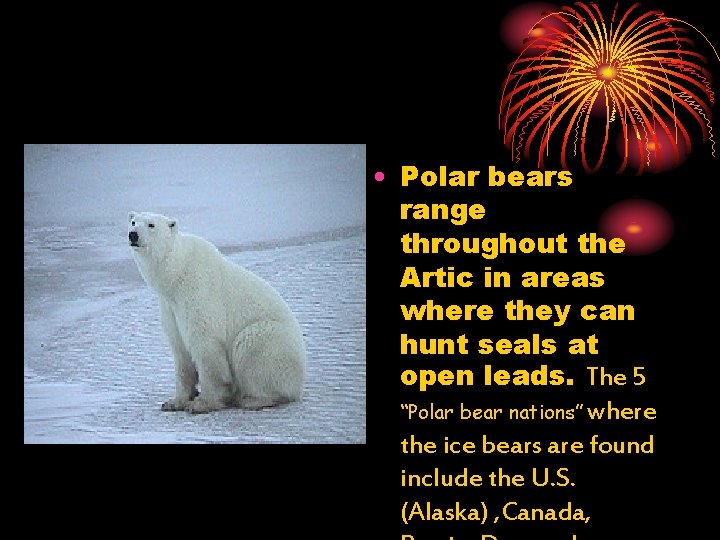  • Polar bears range throughout the Artic in areas where they can hunt