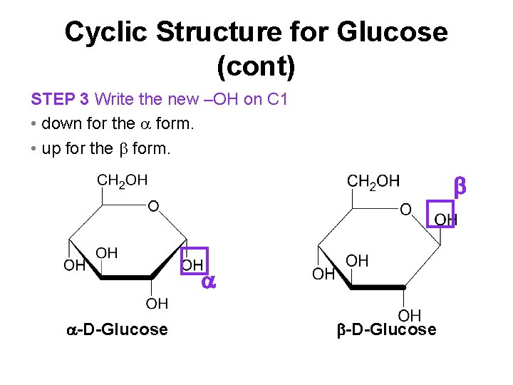 Cyclic Structure for Glucose (cont) STEP 3 Write the new –OH on C 1