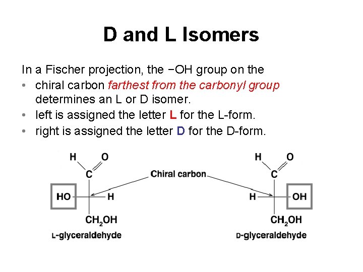 D and L Isomers In a Fischer projection, the −OH group on the •