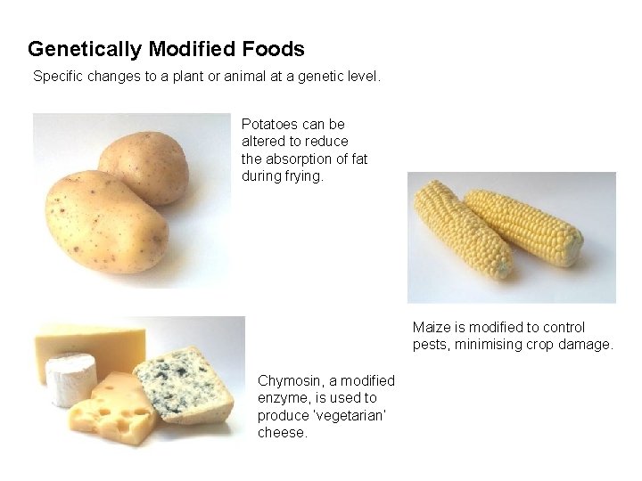 Genetically Modified Foods Specific changes to a plant or animal at a genetic level.