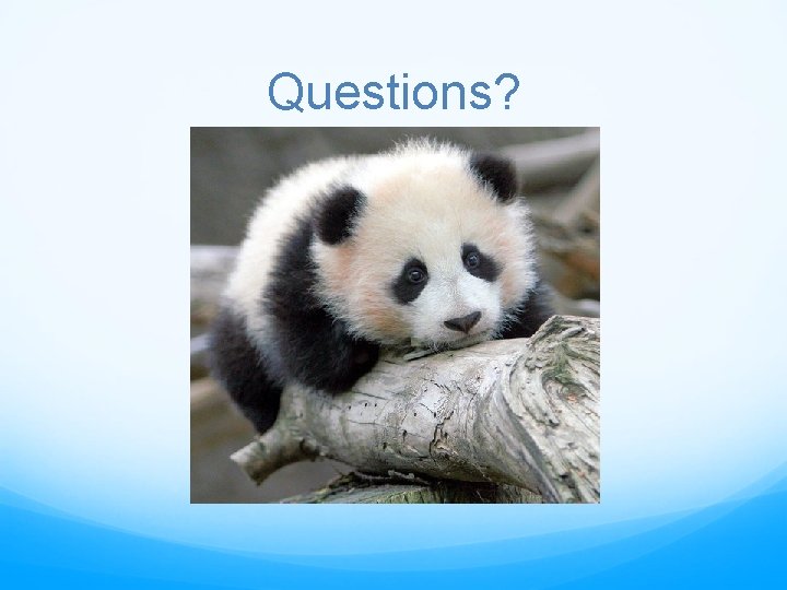 Questions? 