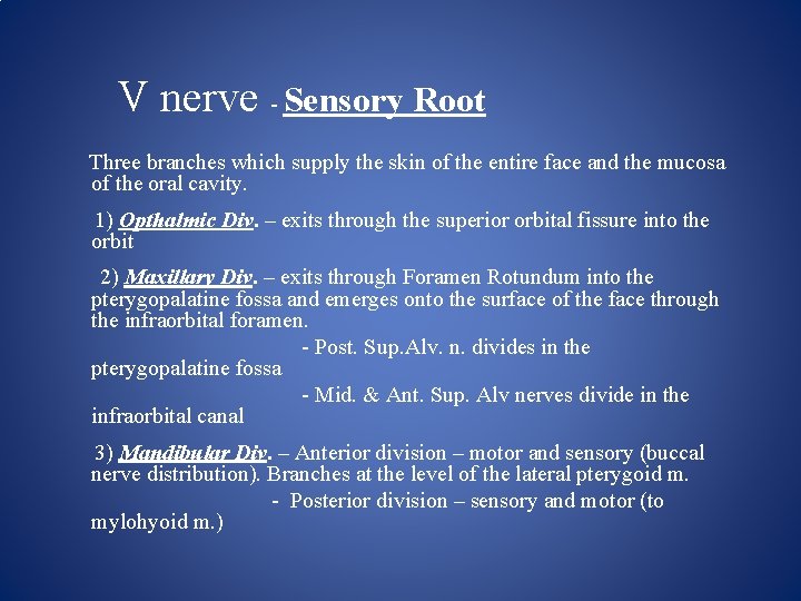 V nerve - Sensory Root Three branches which supply the skin of the entire
