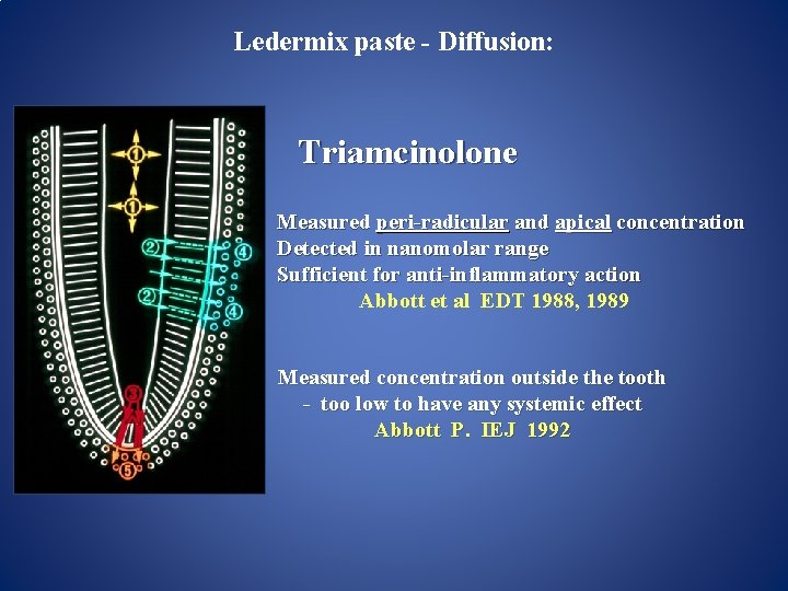 Ledermix paste - Diffusion: Triamcinolone Measured peri-radicular and apical concentration Detected in nanomolar range