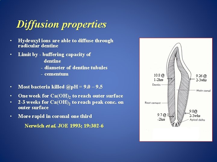 Diffusion properties • Hydroxyl ions are able to diffuse through radicular dentine • Limit