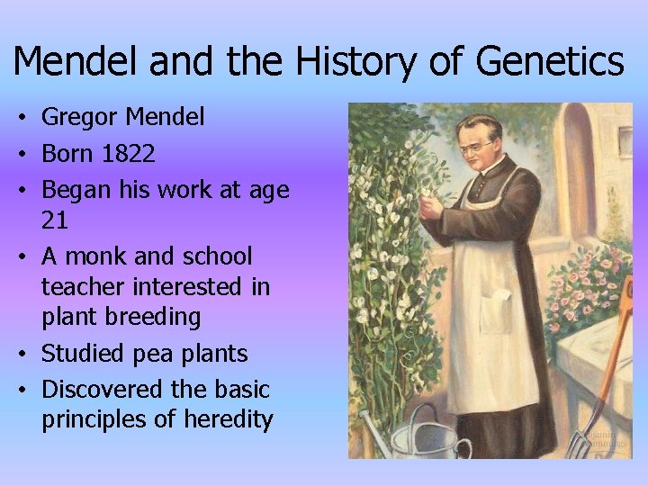 Mendel and the History of Genetics • Gregor Mendel • Born 1822 • Began