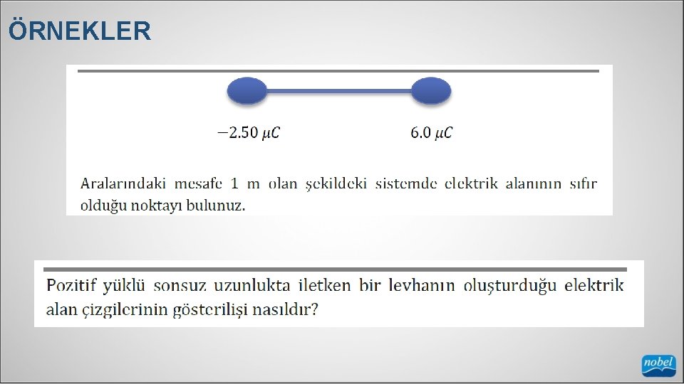 ÖRNEKLER 