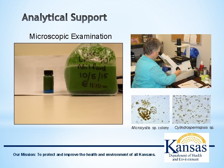 Microscopic Examination • Identification and enumeration (cell count) estimates of number of freshwater phytoplankton,