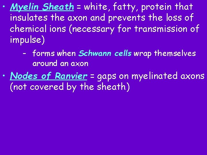  • Myelin Sheath = white, fatty, protein that insulates the axon and prevents