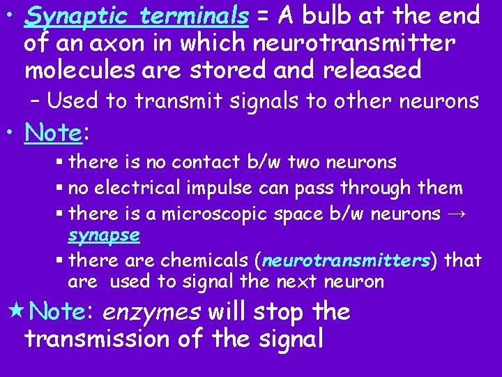  • Synaptic terminals = A bulb at the end of an axon in