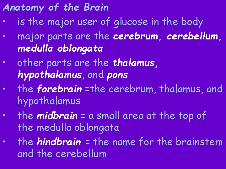 Anatomy of the Brain • is the major user of glucose in the body