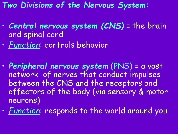 Two Divisions of the Nervous System: • Central nervous system (CNS) = the brain