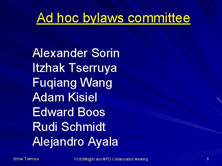 Ad hoc bylaws committee Alexander Sorin Itzhak Tserruya Fuqiang Wang Adam Kisiel Edward Boos