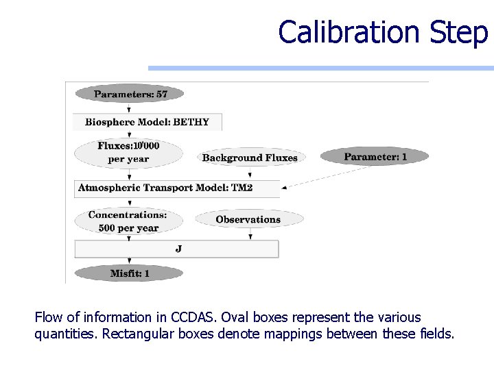 Calibration Step Flow of information in CCDAS. Oval boxes represent the various quantities. Rectangular