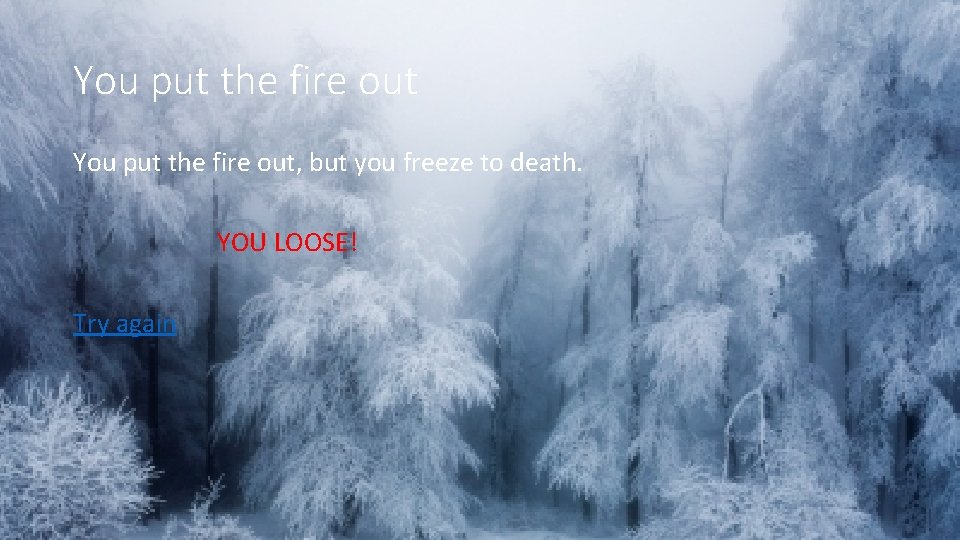 You put the fire out, but you freeze to death. YOU LOOSE! Try again