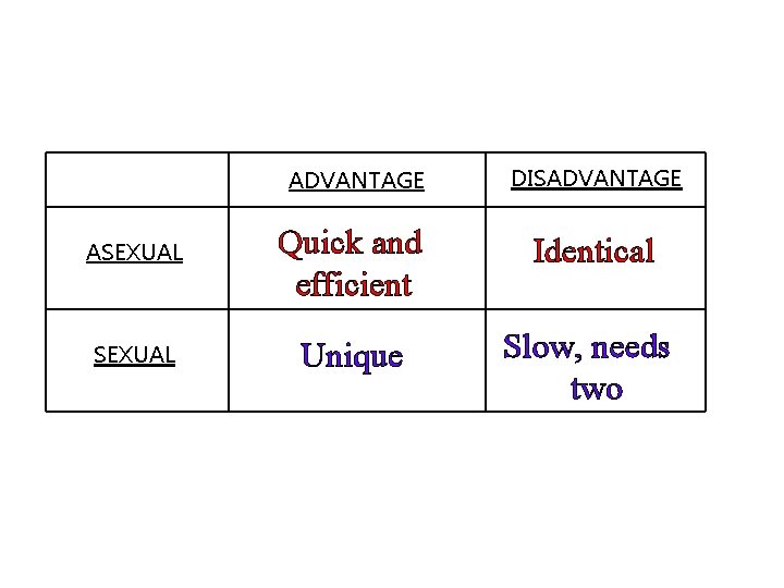 ADVANTAGE ASEXUAL DISADVANTAGE Quick and efficient Identical Unique Slow, needs two 