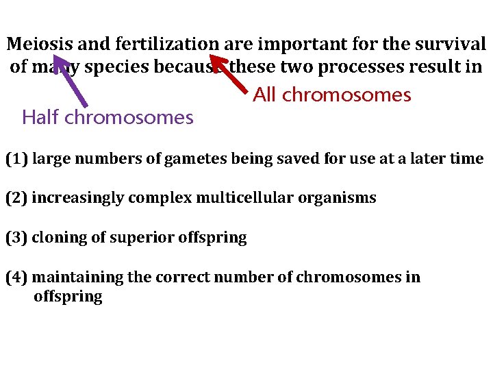 Meiosis and fertilization are important for the survival of many species because these two