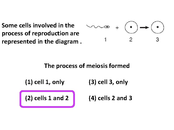 Some cells involved in the process of reproduction are represented in the diagram. The