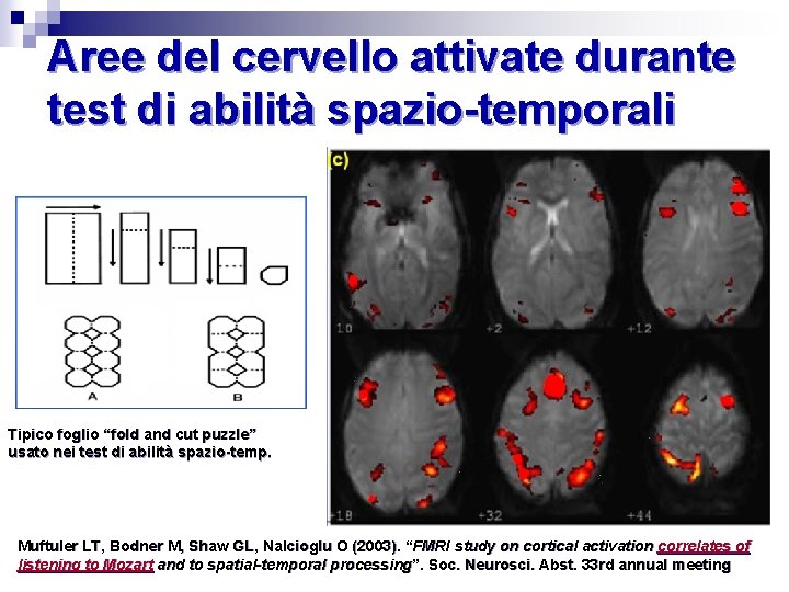 Aree del cervello attivate durante test di abilità spazio-temporali Tipico foglio “fold and cut