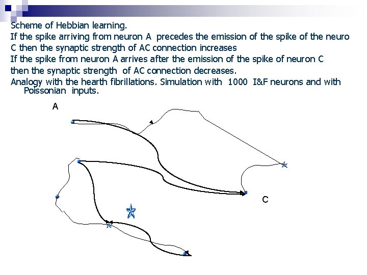 Scheme of Hebbian learning. If the spike arriving from neuron A precedes the emission