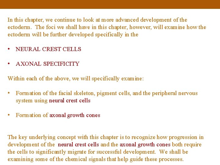 In this chapter, we continue to look at more advanced development of the ectoderm.