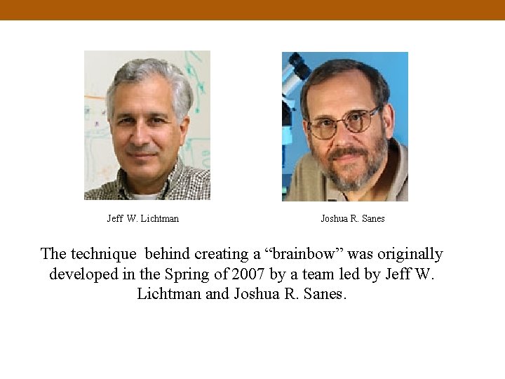 Jeff W. Lichtman Joshua R. Sanes The technique behind creating a “brainbow” was originally