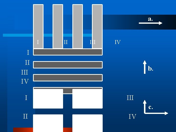 a. I II III IV I b. III c. II IV 