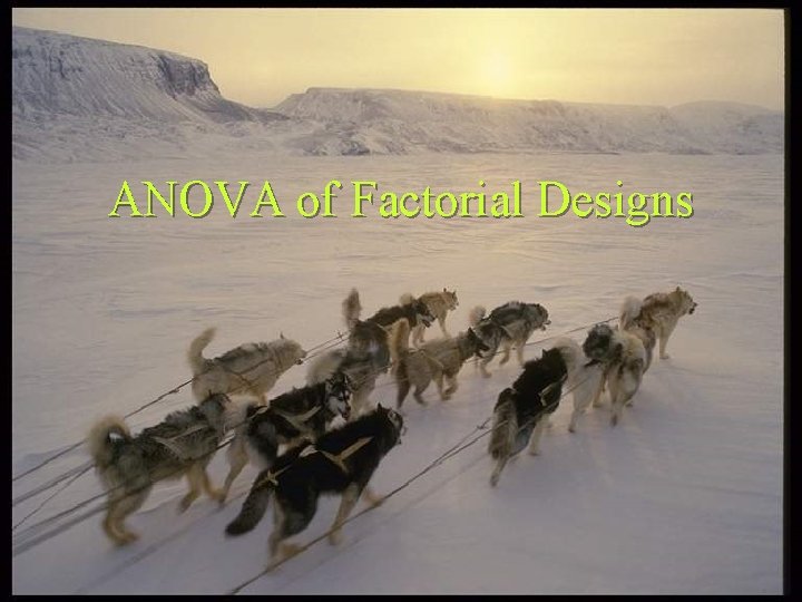 ANOVA of Factorial Designs 