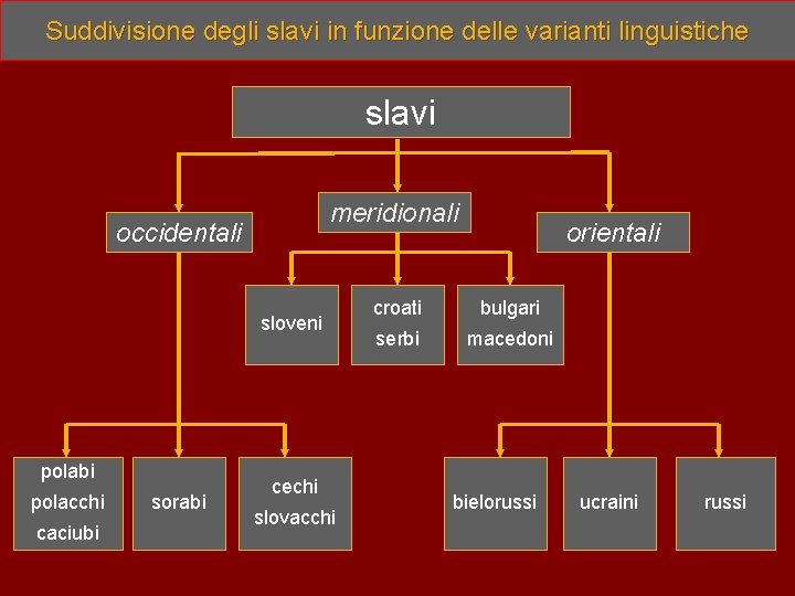 Suddivisione degli slavi in funzione delle varianti linguistiche slavi meridionali occidentali sloveni polabi polacchi