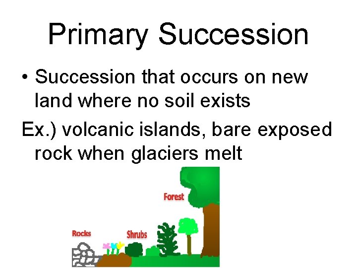 Primary Succession • Succession that occurs on new land where no soil exists Ex.