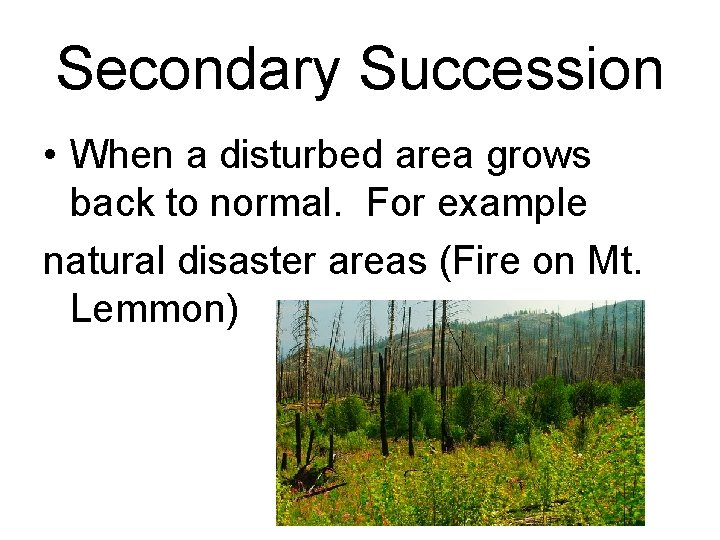 Secondary Succession • When a disturbed area grows back to normal. For example natural