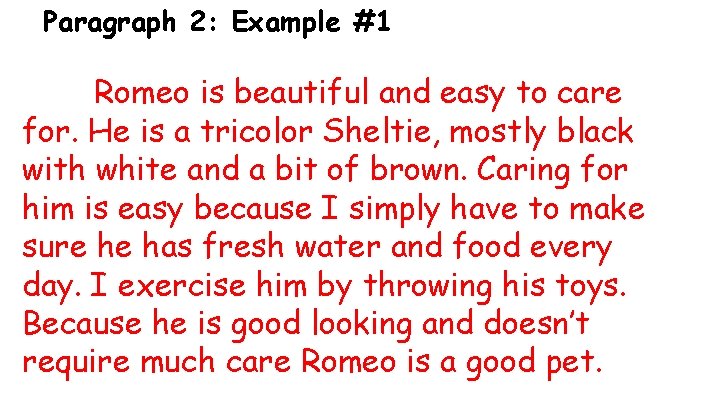Paragraph 2: Example #1 Romeo is beautiful and easy to care for. He is