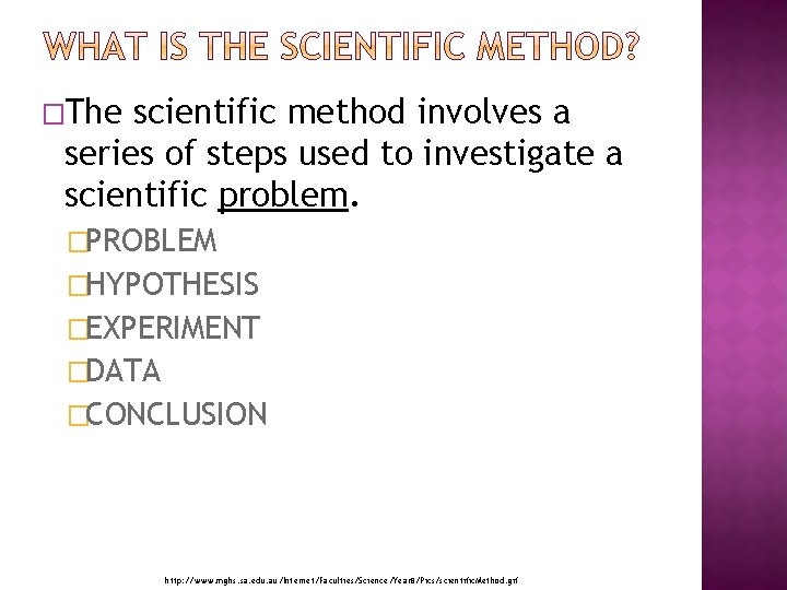 �The scientific method involves a series of steps used to investigate a scientific problem.