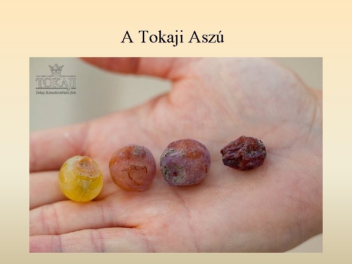 A Tokaji Aszú A Tokaji Aszú