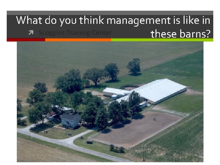 What do you think management is like in Scoggins Training Center these barns? 