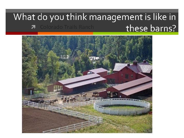 What do you think management is like in Colorado Trails Ranch these barns? 