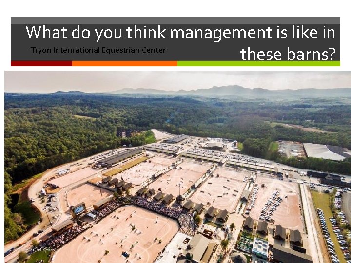 What do you think management is like in Tryon International Equestrian Center these barns?