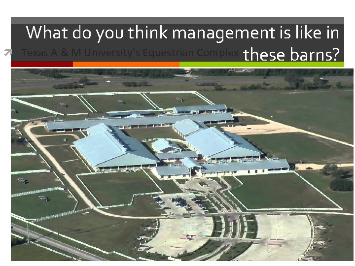  What do you think management is like in Texas A & M University’s