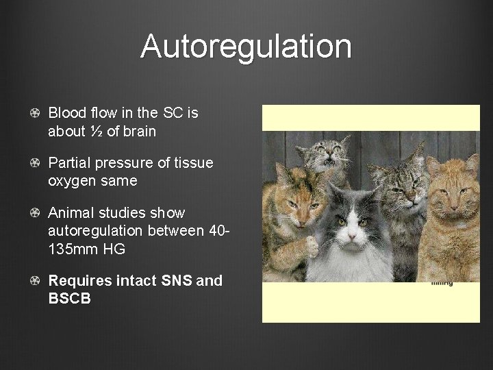 Autoregulation Blood flow in the SC is about ½ of brain Partial pressure of