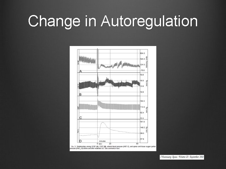 Change in Autoregulation 