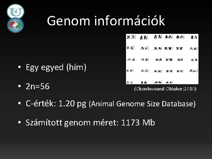 Genom információk • Egy egyed (hím) • 2 n=56 (Okonkwoand Obiakor; 2010) • C-érték: