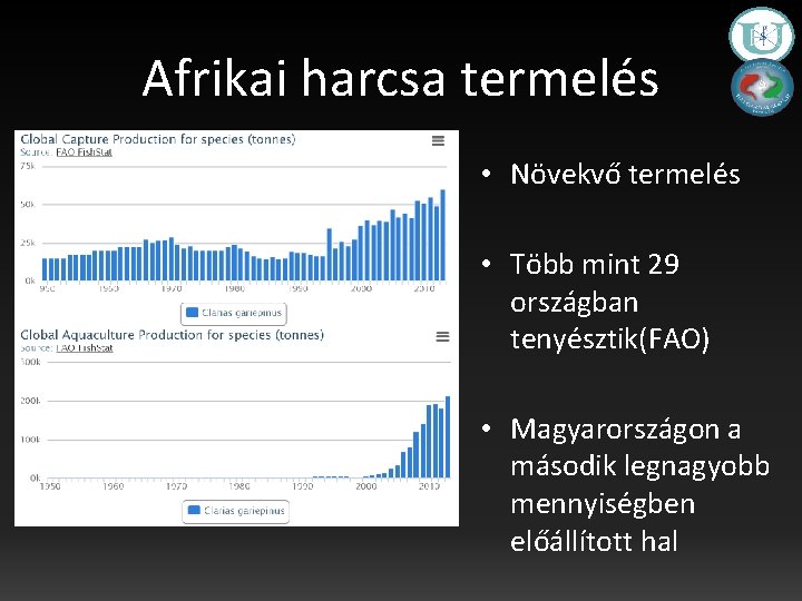 Afrikai harcsa termelés • Növekvő termelés • Több mint 29 országban tenyésztik(FAO) • Magyarországon