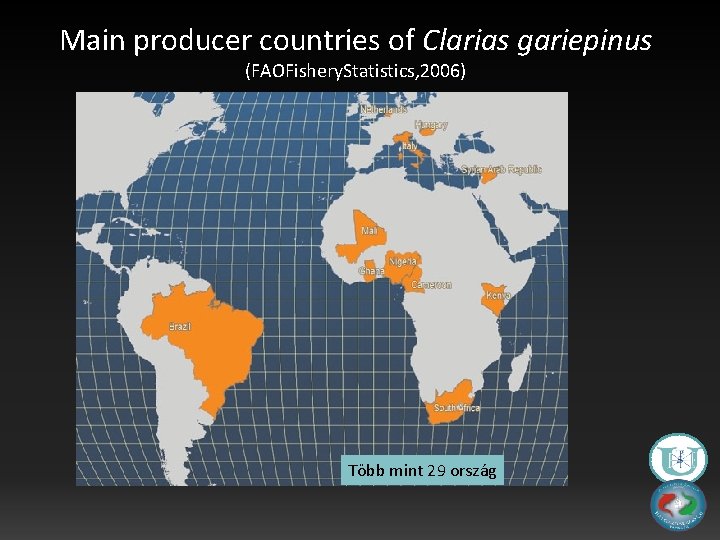 Main producer countries of Clarias gariepinus (FAOFishery. Statistics, 2006) Több mint 29 ország 