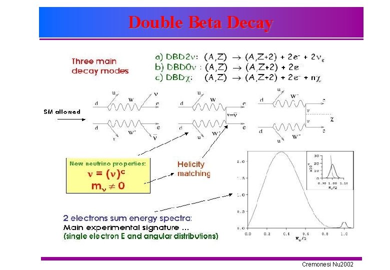 Double Beta Decay Cremonesi Nu 2002 