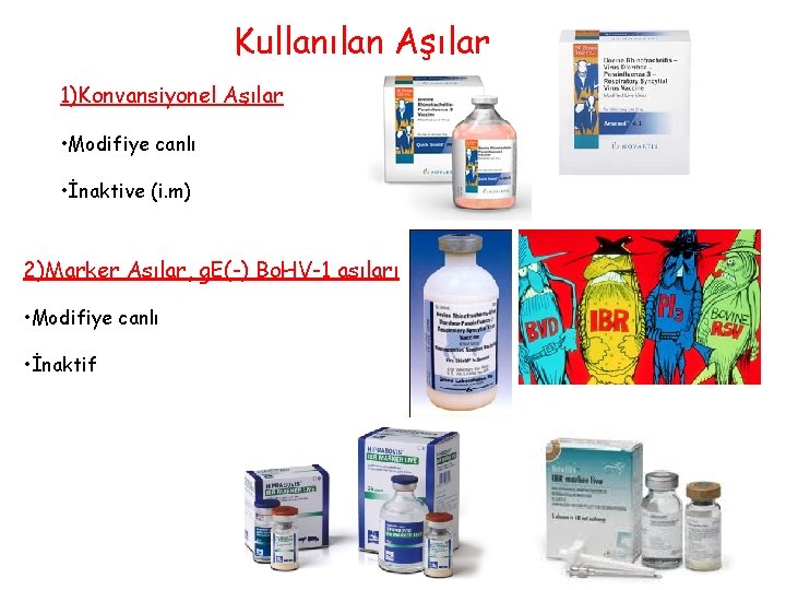 Kullanılan Aşılar 1)Konvansiyonel Aşılar • Modifiye canlı • İnaktive (i. m) 2)Marker Aşılar, g.