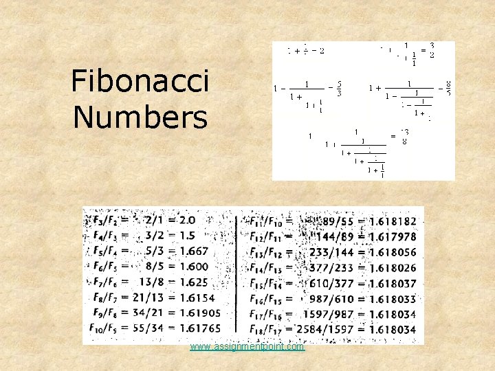Fibonacci Numbers www. assignmentpoint. com 