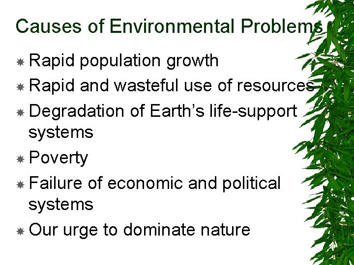 Causes of Environmental Problems Rapid population growth Rapid and wasteful use of resources Degradation